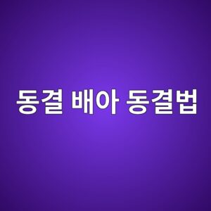 eb8f99eab2b0 ebb0b0ec9584 eb8f99eab2b0ebb295 1786184365