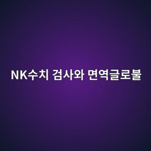 nkec8898ecb998 eab280ec82acec9980 eba9b4ec97adeab880eba19cebb688 1786169273